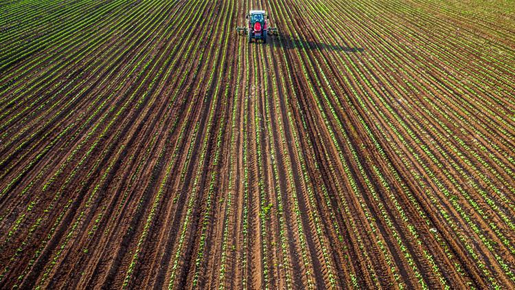 Çiftçi destek ödemeleri yattı mı, ne zaman yatacak Bakan Yumaklı açıkladı Tarımsal destek ödemeleri nereden sorgulanır