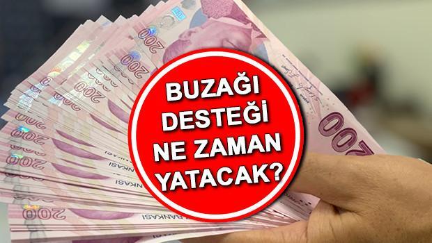 BUZAĞI DESTEĞİ ÖDEME TARİHİ 2025 SON DURUM || 2025 yılı 1. Dönem Buzağı ve Kuzu-Oğlak Desteklemesi başvurusu ne zaman bitecek 2024 2. Dönem Buzağı destek (büyükbaş ve küçükbaş) ödemeleri başladı mı Tarım ve Orman Bakanlığı paylaştı BUZAĞI DESTEĞİ ÖDEME TARİHİ 2025 SON DURUM || 2025 yılı 1. Dönem Buzağı ve Kuzu-Oğlak Desteklemesi başvurusu ne zaman bitecek 2024 2. Dönem Buzağı destek (büyükbaş ve küçükbaş) ödemeleri başladı mı Tarım ve Orman Bakanlığı paylaştı