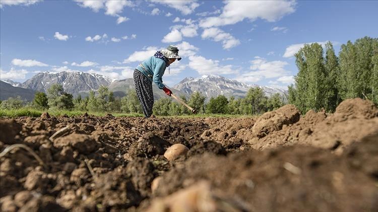 ÇİFTÇİ DESTEKLEME ÖDEMELERİ EYLÜL 2025 || Büyükbaş hayvancılık desteği ve süt desteği ödemeleri yattı mı, ne zaman yatacak Açıklama geldi