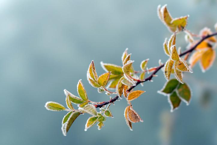 HAKSIZ ÖDEMELER GERİ ALINACAK