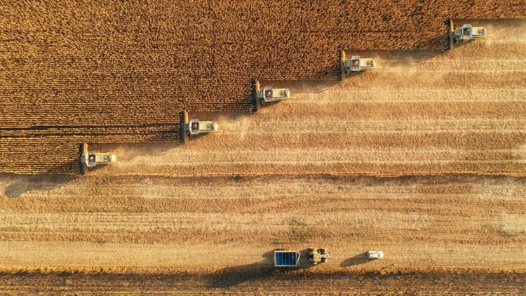 Mazot ve gübre desteği yattı mı, ne zaman yatacak Bakan Yumaklı ödeme tarihini paylaştı İşte tarımsal destek ödemeleri 2025 Ekim ayı takvimi...