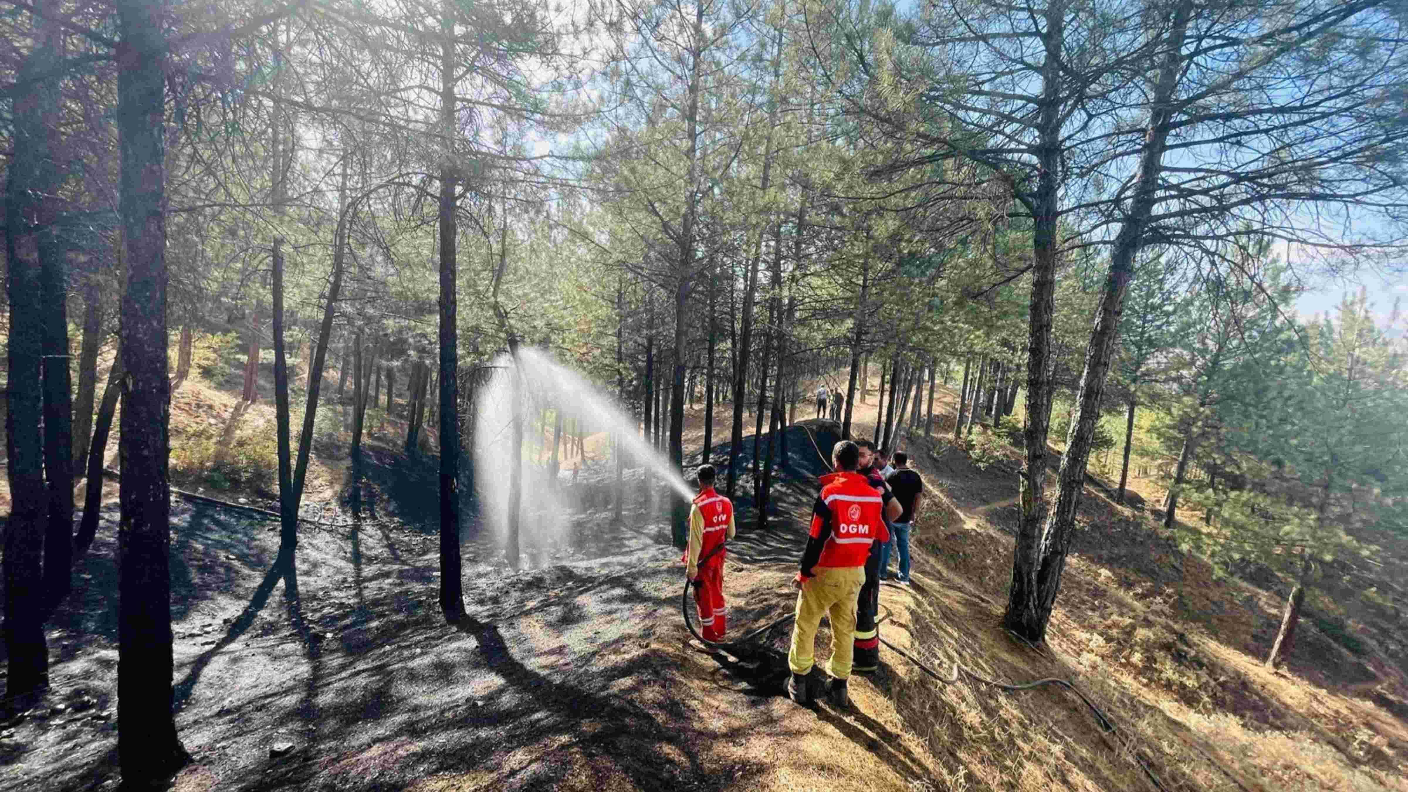 Wildfires destroy 80,000 hectares across Türkiye this year