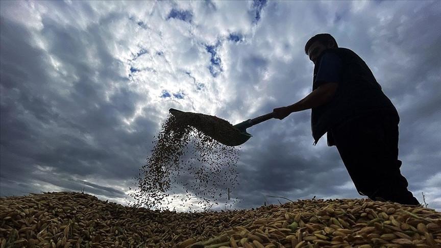 TARIMSAL DESTEK ÖDEMELERİ YATTI MI