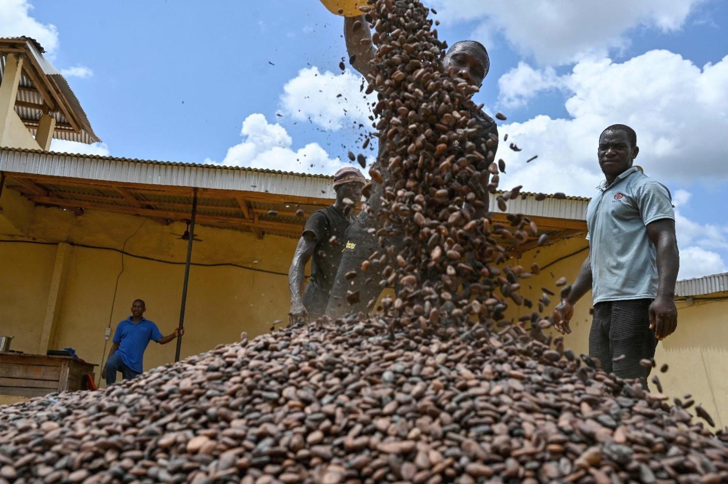 NGOs accuse coffee giants of human rights abuses