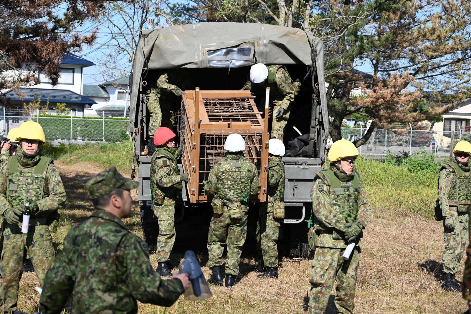 Japan deploys troops after wave of deadly bear attacks
