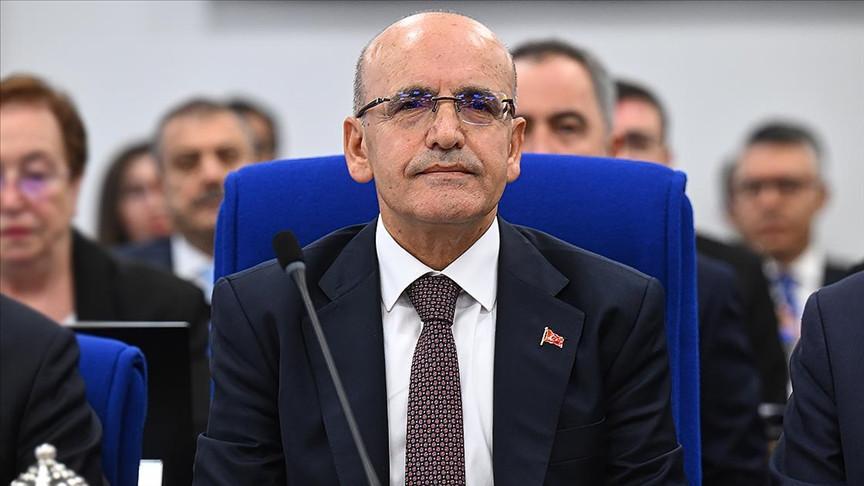 Disinflation process will continue, says Şimşek