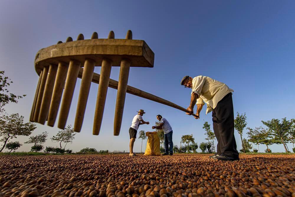 Authority revises Ferrero’s purchase commitments