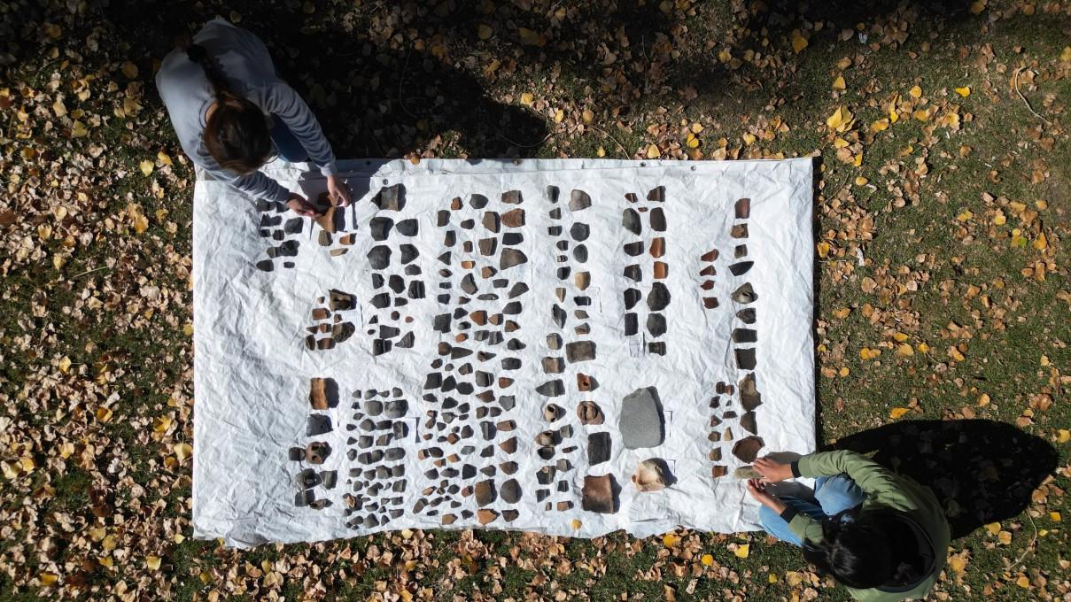 Ancient grains shed light on Early Bronze Age life