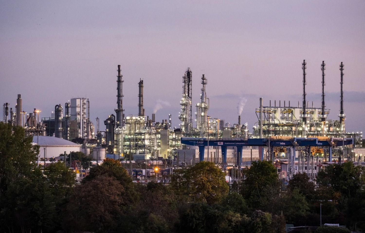 BASF boss says China vital for company's future growth