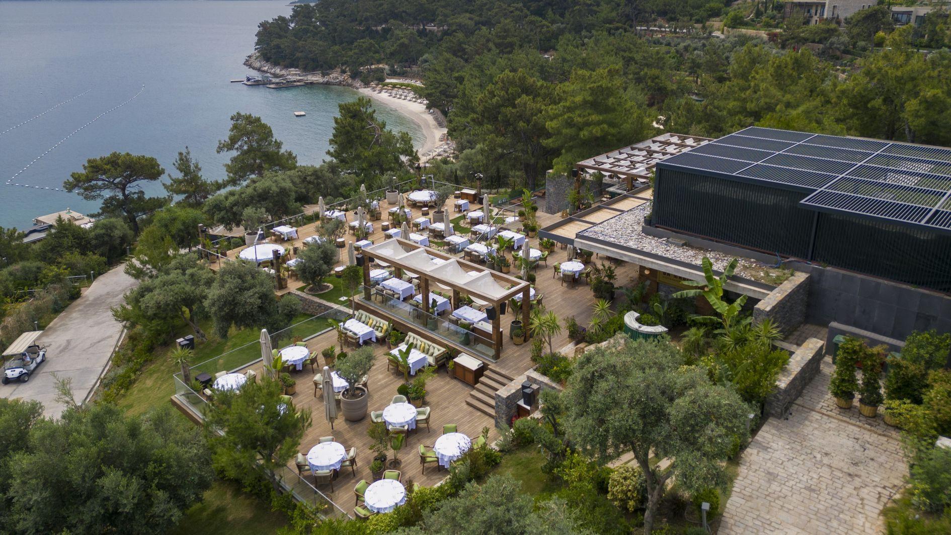 Dine, Design, Data: The New Grammar of Gastronomic Luxury