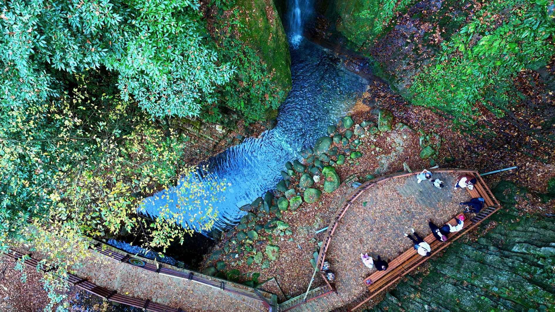 Ecotourism flourishes in forests, driving rural development