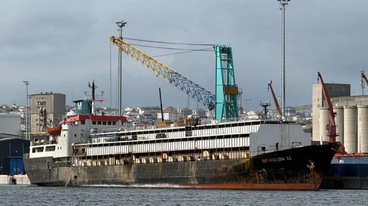 Livestock carrier leaves waters amid Türkiye’s safety concerns