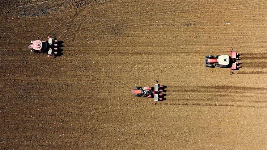 Drought pushes sowing season back in Central Anatolia