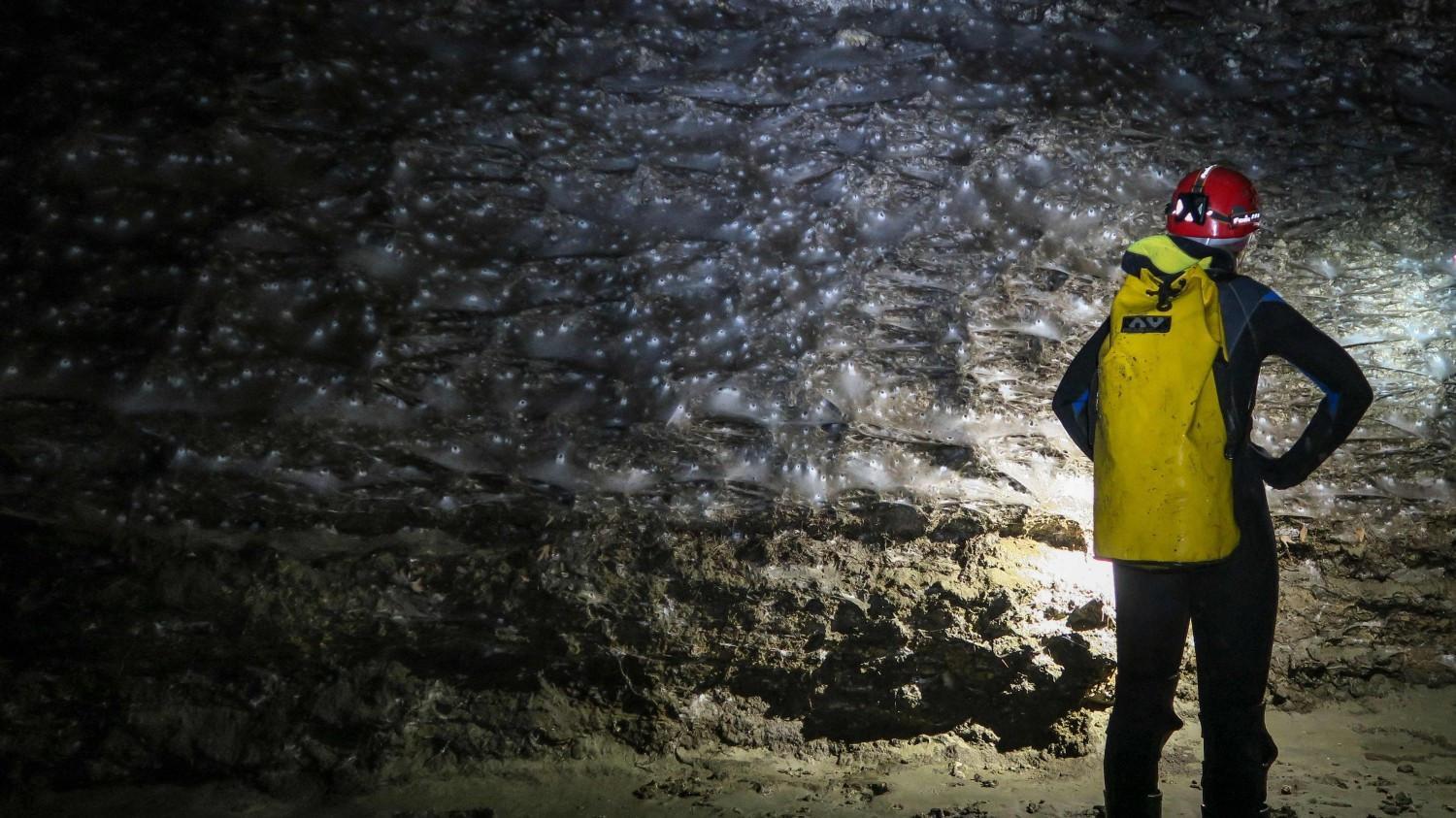 Giant spider web found in Greek-Albanian border cave