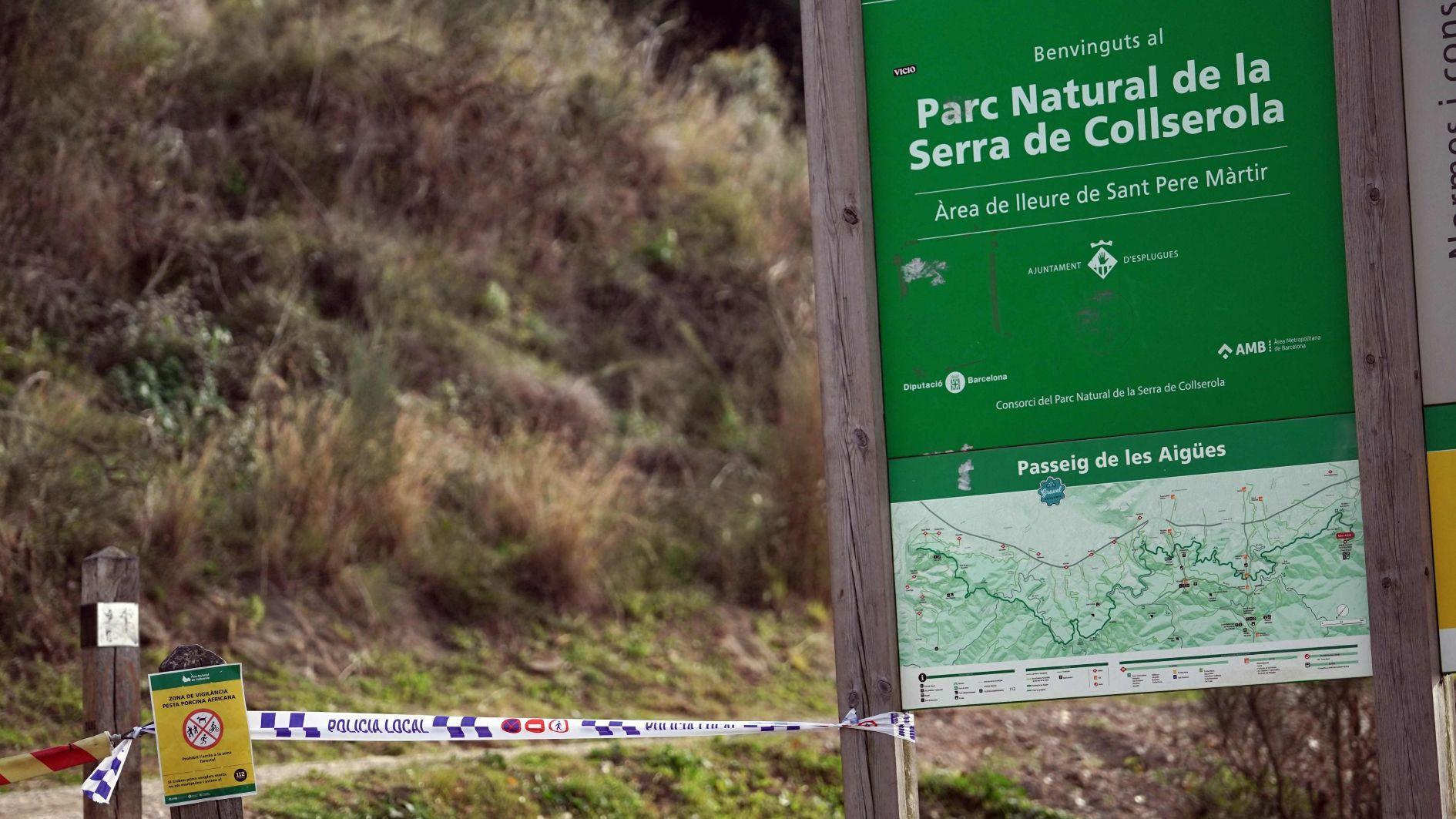 Spain fights economic damage from African swine fever