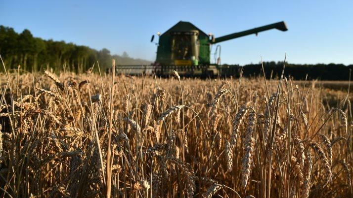 EU reaches accord on new generation of GM crops
