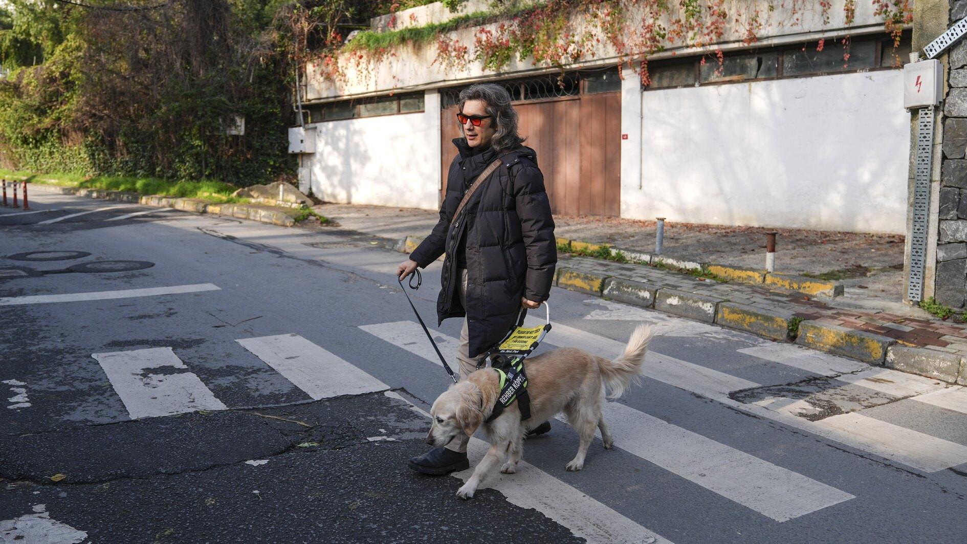 Guide dogs strengthen mobility, safety for Türkiye’s visually impaired