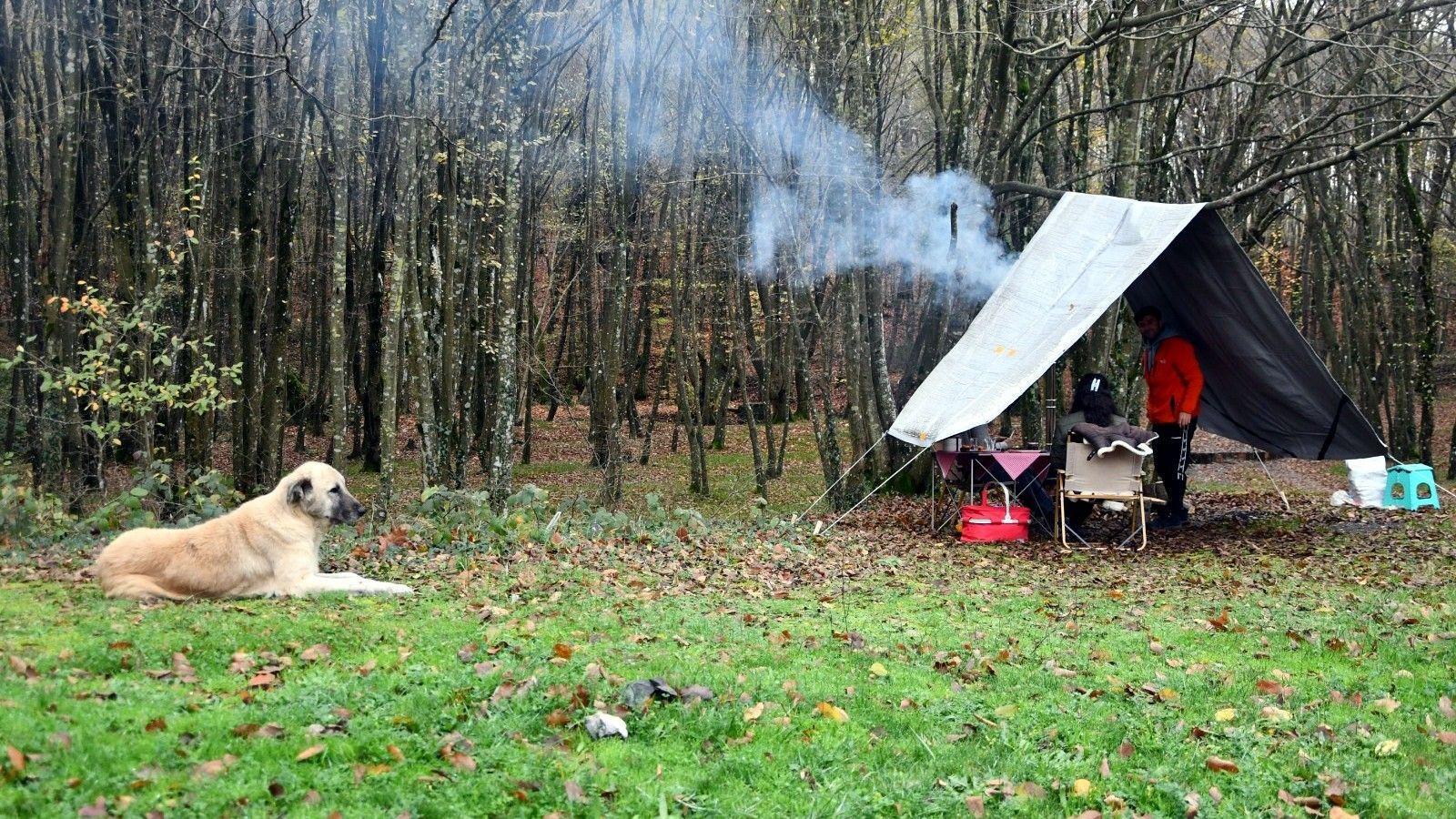 Istranca foothills emerge as seasonal haven for campers, photographers