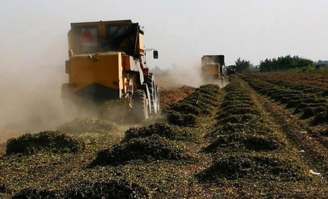 Çiftçi destek ödemesi sorgulama ekranı 2025 Aralık || Tarımsal destek ödemesi ne zaman yatacak, yattı mı, ayın kaçında ödenecek Bakan Yumaklı duyurdu İşte tarımsal destek ödeme tarihleri Çiftçi destek ödemesi sorgulama ekranı 2025 Aralık || Tarımsal destek ödemesi ne zaman yatacak, yattı mı, ayın kaçında ödenecek Bakan Yumaklı duyurdu İşte tarımsal destek ödeme tarihleri