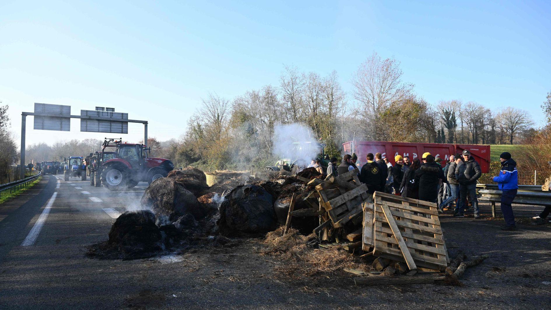 French farmers block roads over cow disease cull