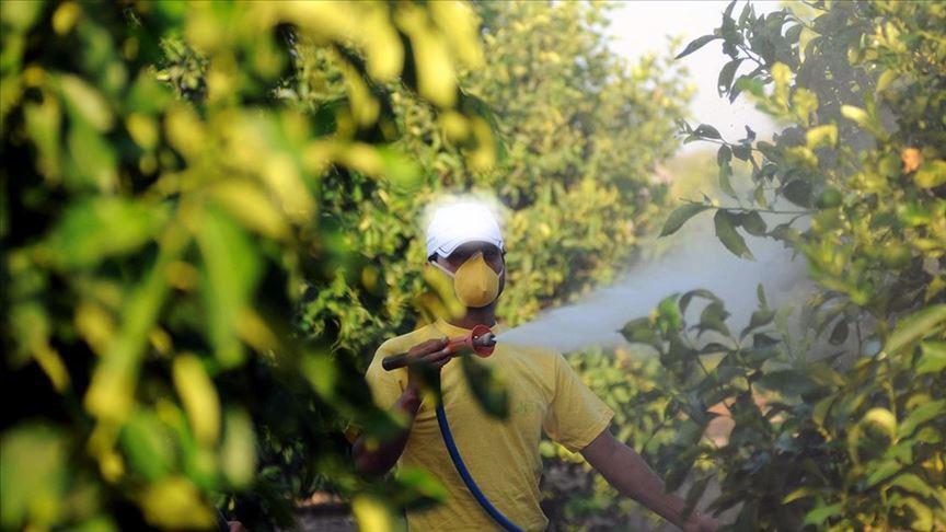 Türkiye bans online, over-the-counter pesticide sales