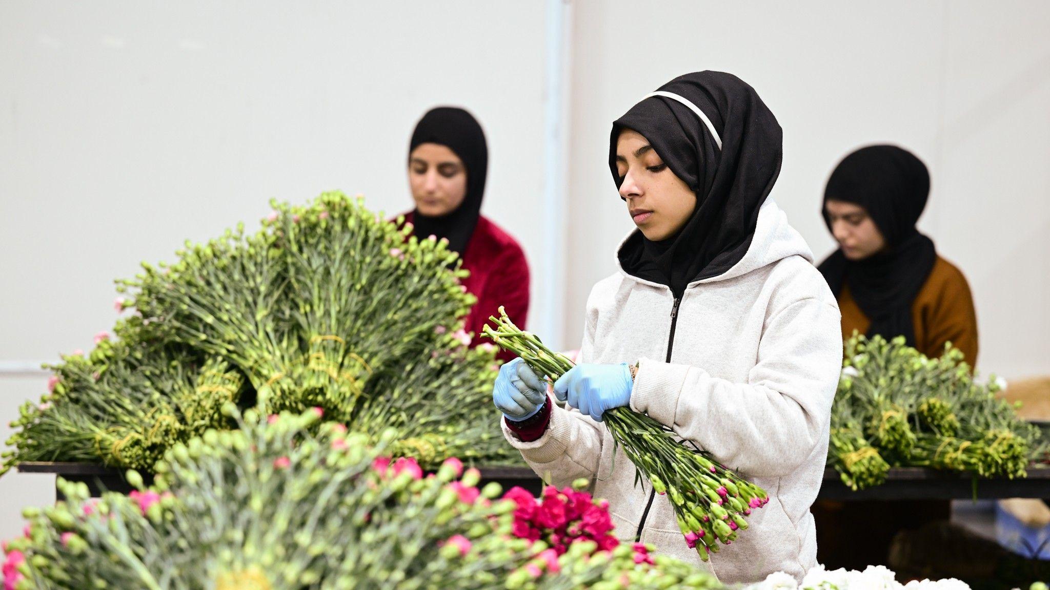 $12 million in flowers exported for New Year celebrations
