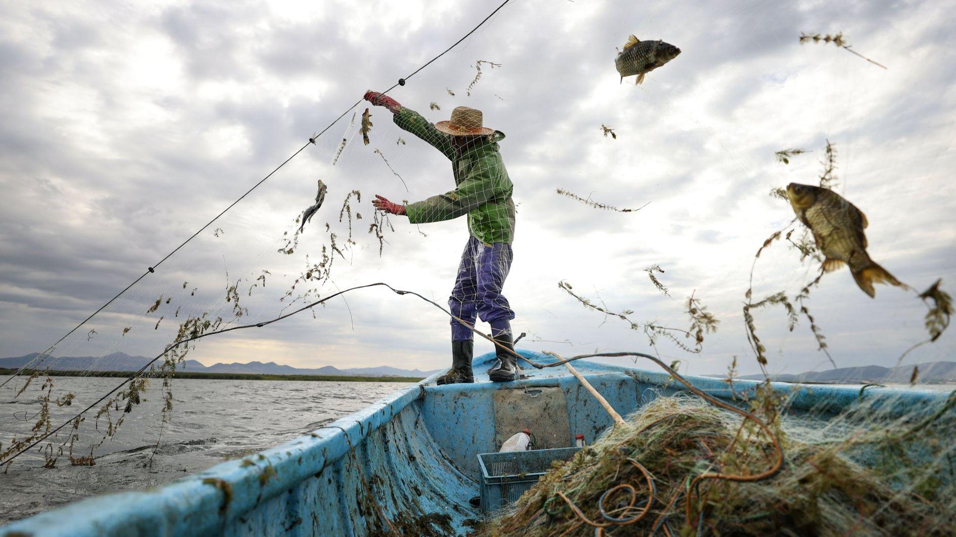 Türkiye expands fishing operations into Somali waters