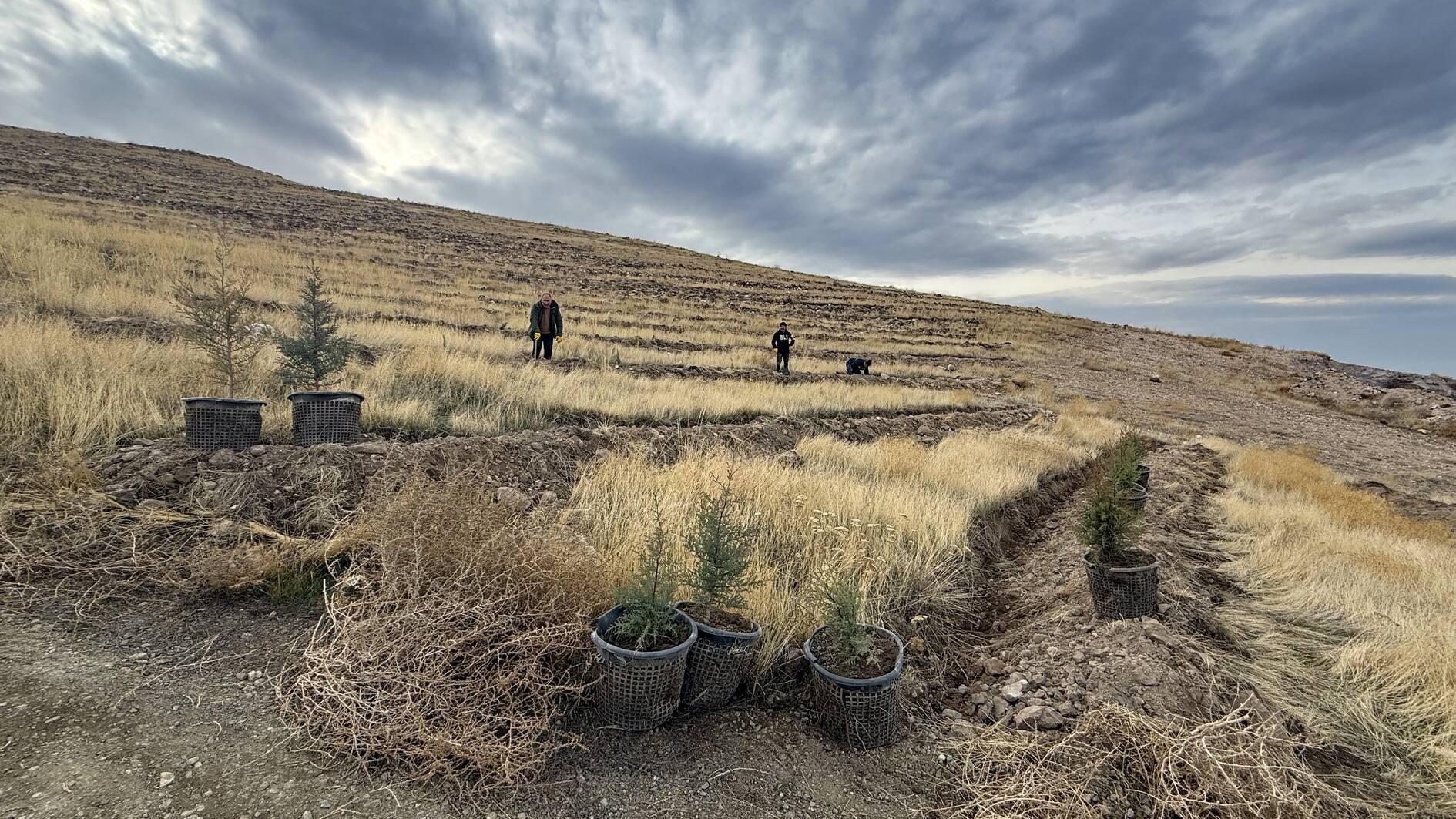 Afforestation drive launched in Iğdır to tackle Türkiye’s worst air pollution