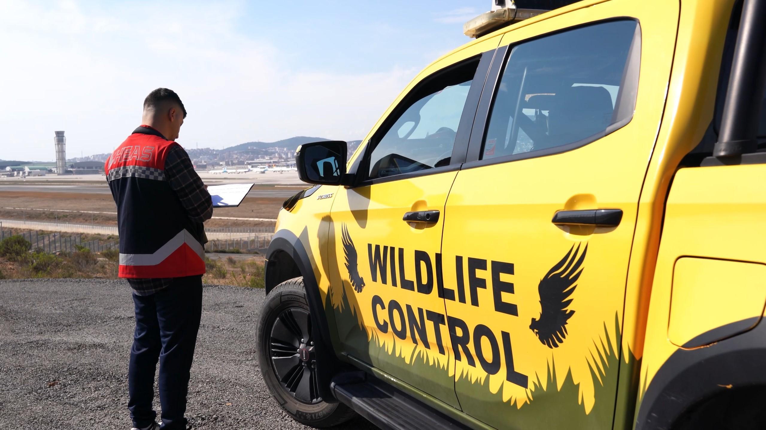 Istanbul airports deploy ornithologists to manage bird activity, boost flight safety