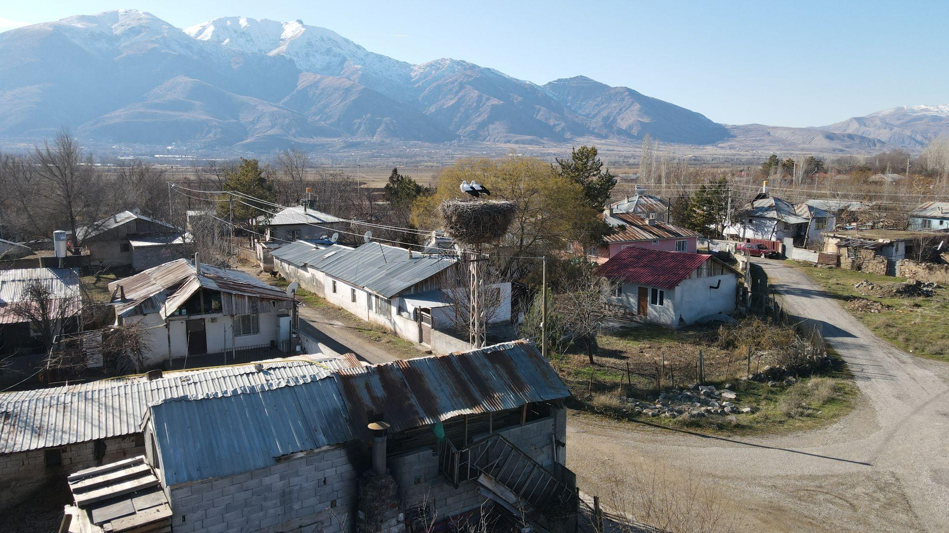 Storks of Binkoç village to spend another winter in their nests