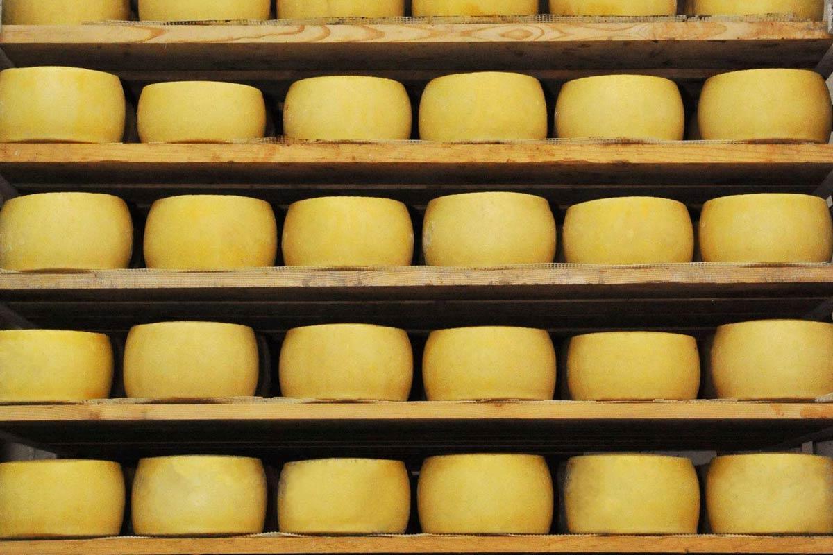 A cheese story stretching from Urfa to America