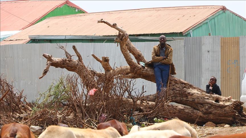 Somalia denounces Israeli recognition of Somaliland