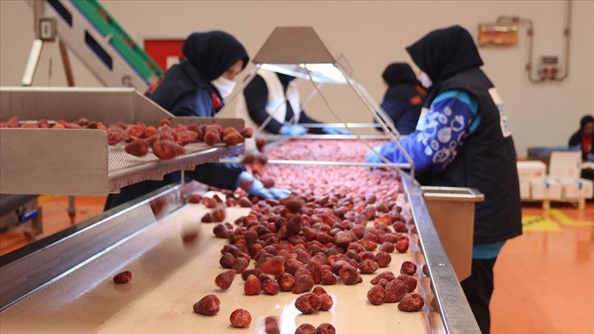 Frozen produce sector aims for $200 mln in exports in 2026