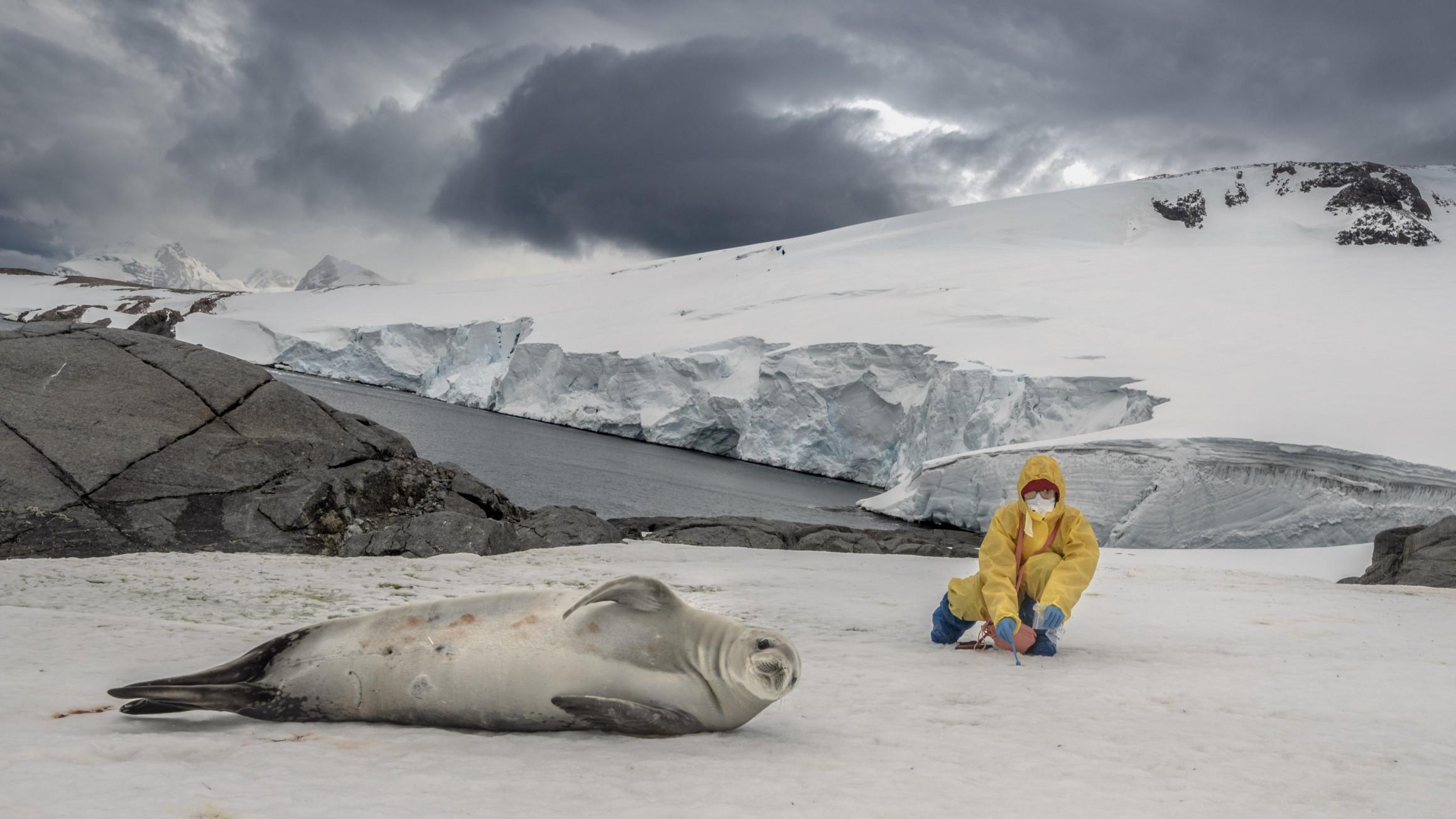 Türkiye marks 10 years of scientific presence in Antarctica