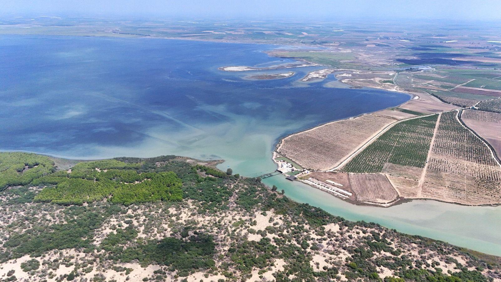 Çukurova Delta hosts rich birdlife even in winter