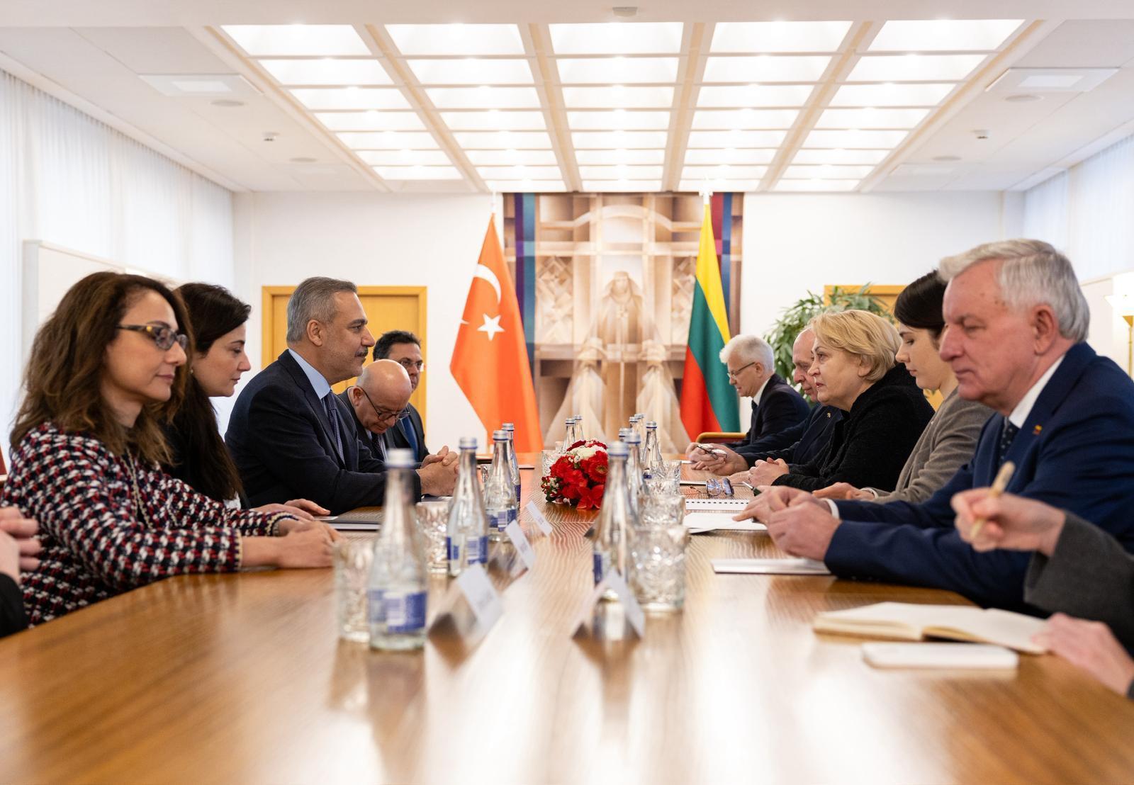 Turkish, Baltic top diplomats meet in summit to discuss Europe’s security