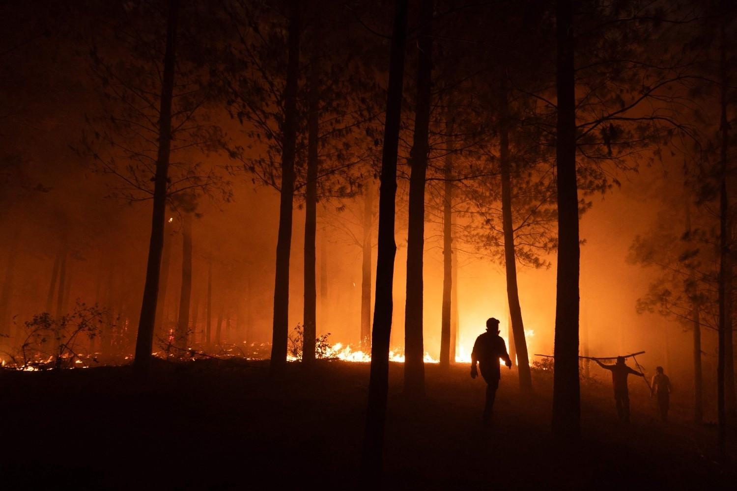 Entire towns wiped out in Chile wildfires