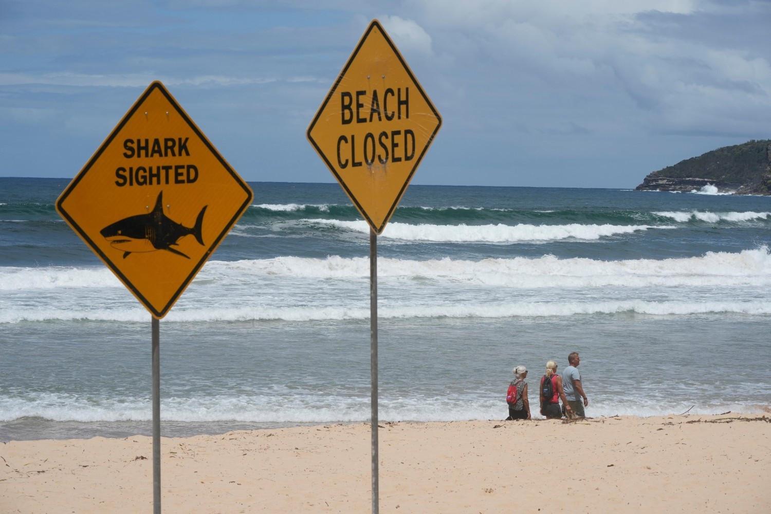 Shark bites surfer in Australian state's fourth attack in 48 hours