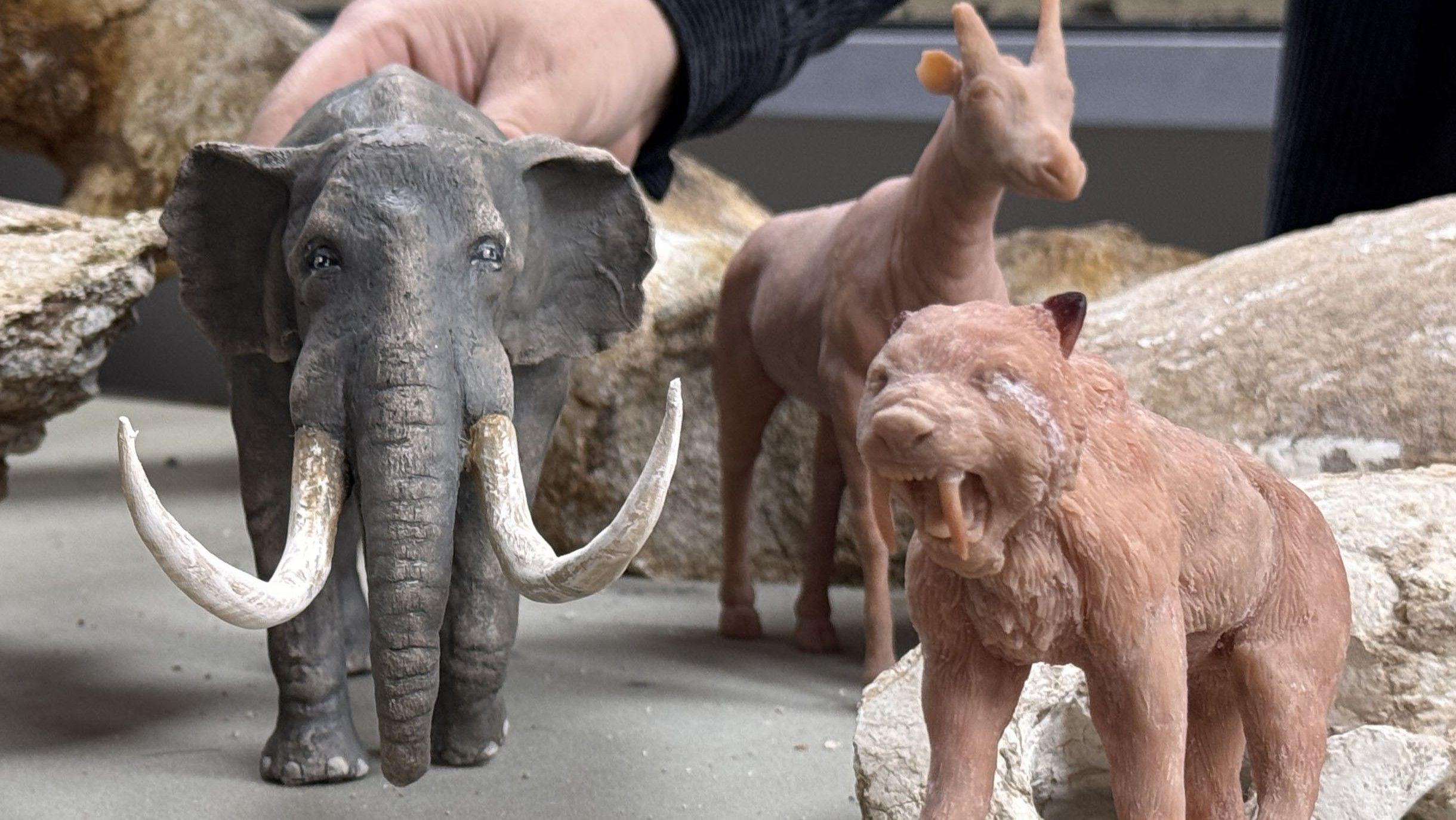 Ancient megafauna fossils recreated with 3D technology