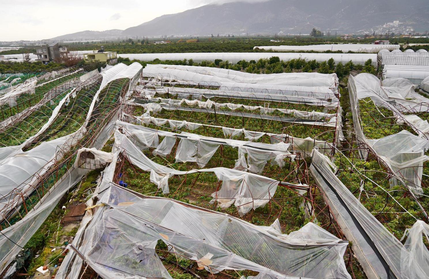 Antalya authorities mobilize amid severe rain, tornado damage