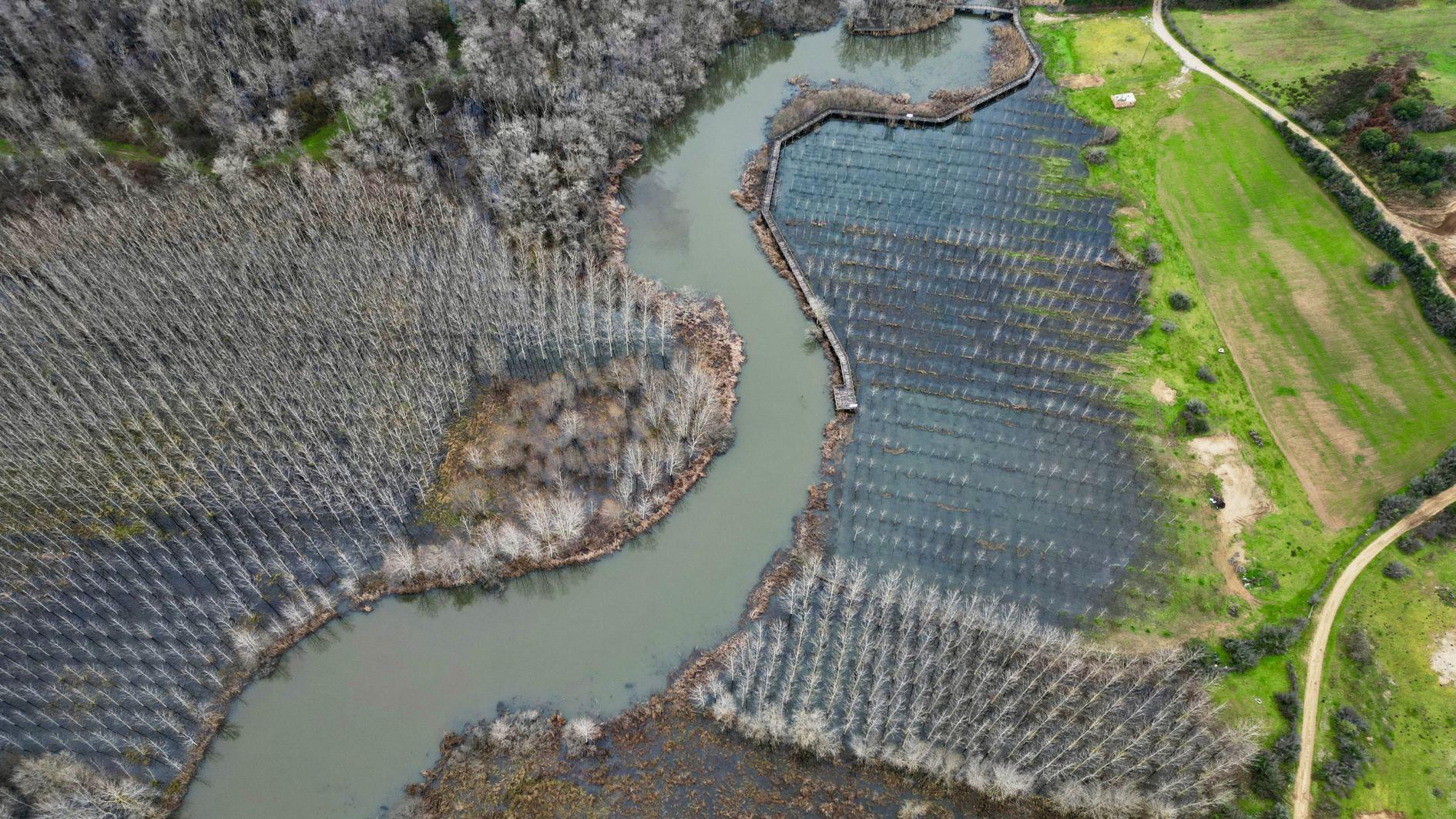 Acarlar Floodplain Forest shelters water-adapted species