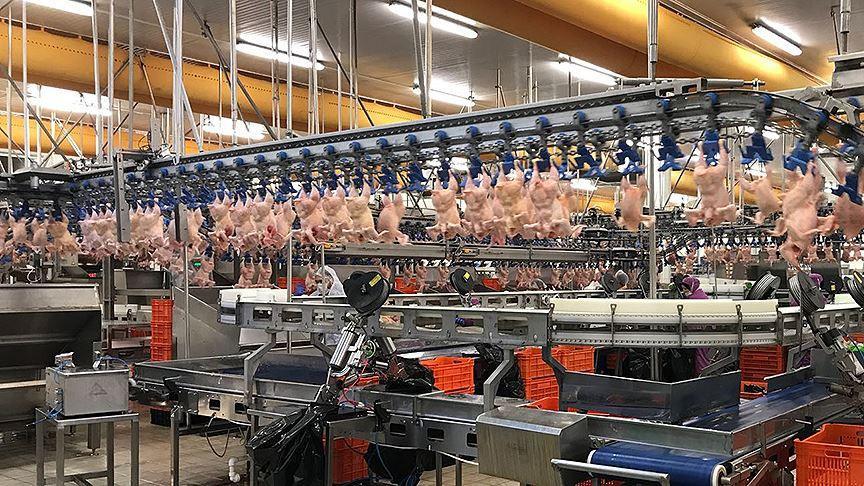 Trade Ministry halts chicken exports ahead of Ramadan