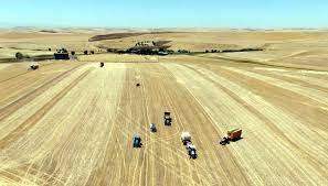 ÇİFTÇİLERE DEV YARDIM ÖDEMESİ