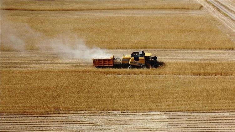 Tarım ÜFE'de güçlü yükseliş