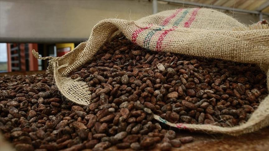 Türkiye cocoa exports hit all-time high of $1.7 billion in 2025