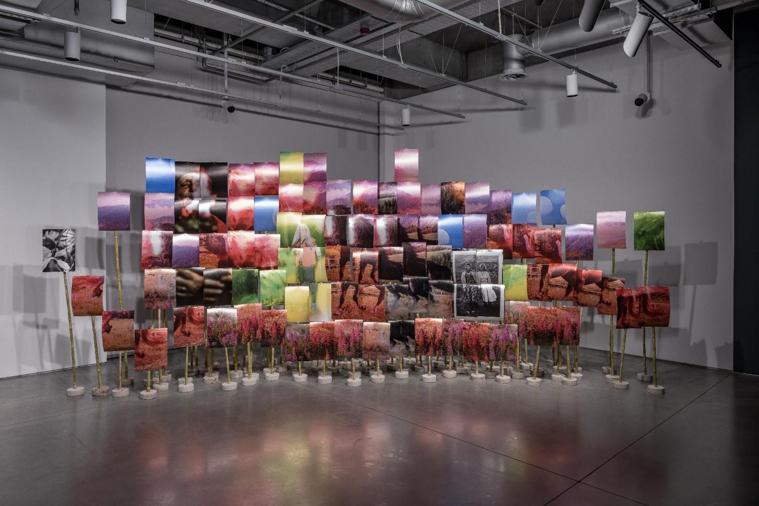 ‘Panorama: Dreams and places’ exhibition opens at Istanbul Modern