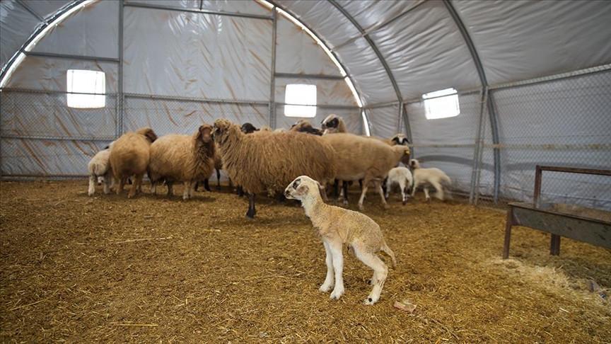 BAŞVURU ŞARTLARI NELER