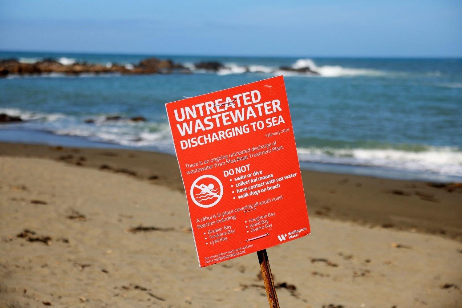 New Zealand mayor swims to allay sewage contamination fears