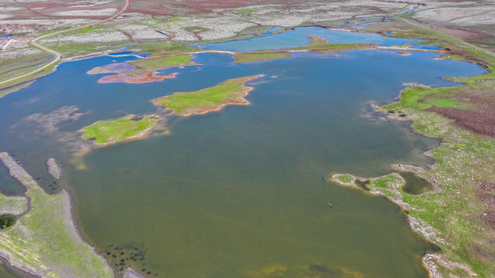 Türkiye sees wettest February in 66 years