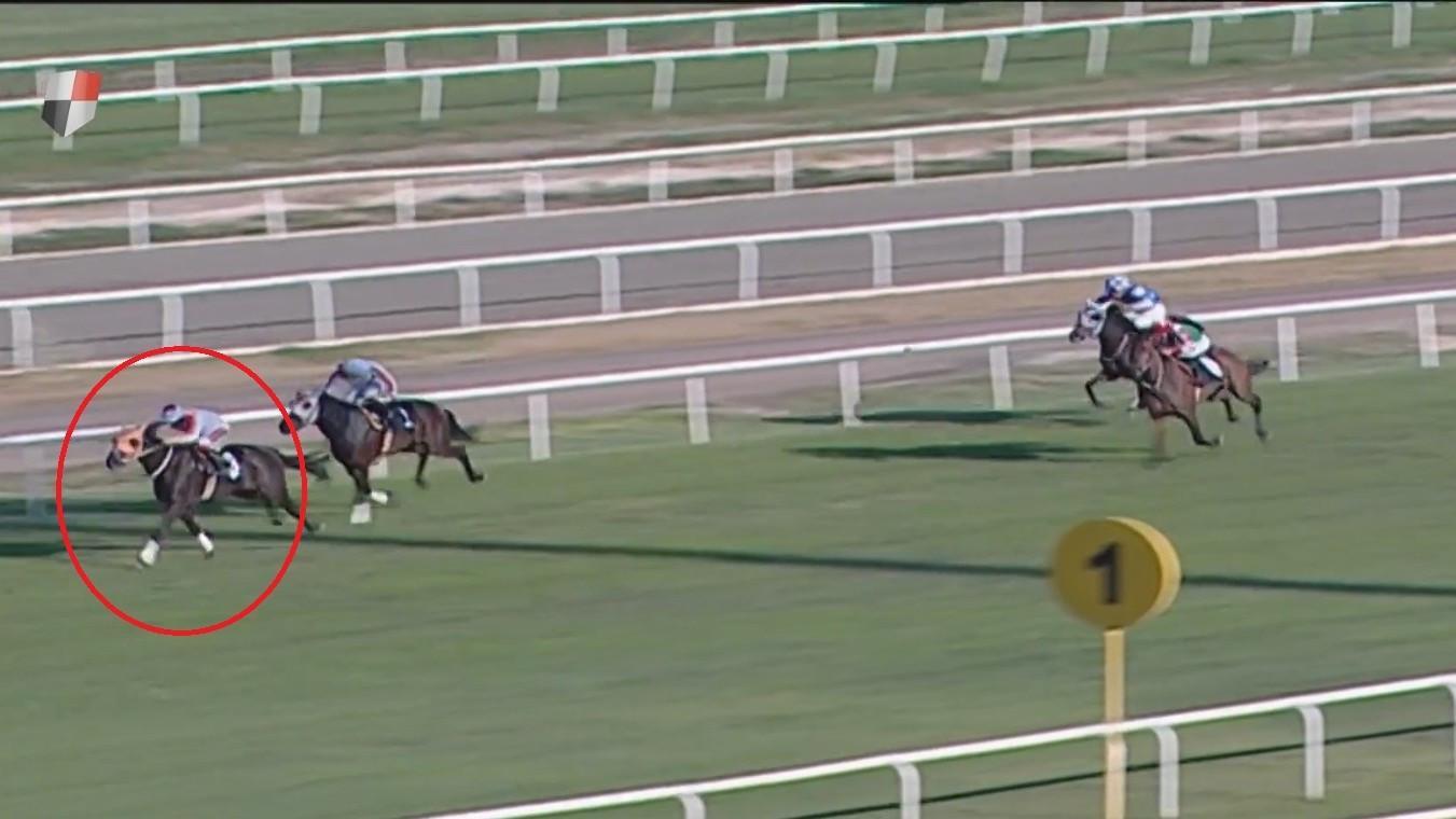 Owner fined after racehorse meat served at Turkish soup kitchen